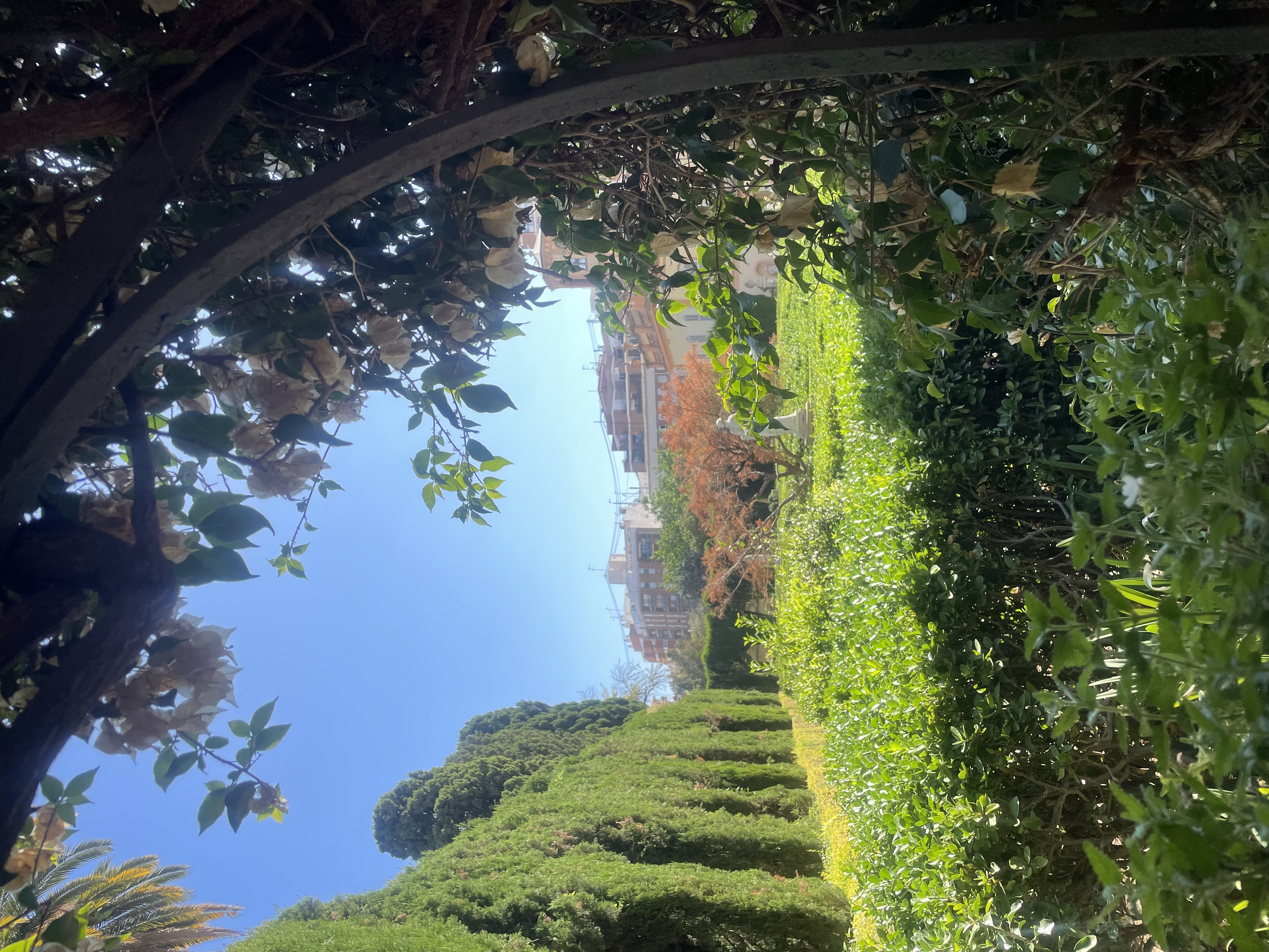 mooie tuin in valencia met veel groen